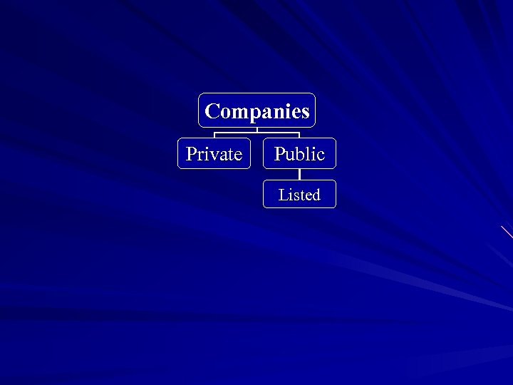 Companies Private Public Listed 