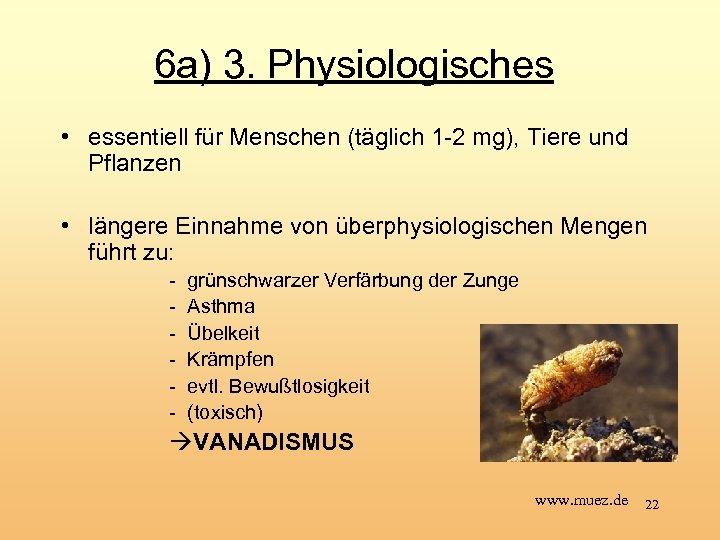 6 a) 3. Physiologisches • essentiell für Menschen (täglich 1 -2 mg), Tiere und