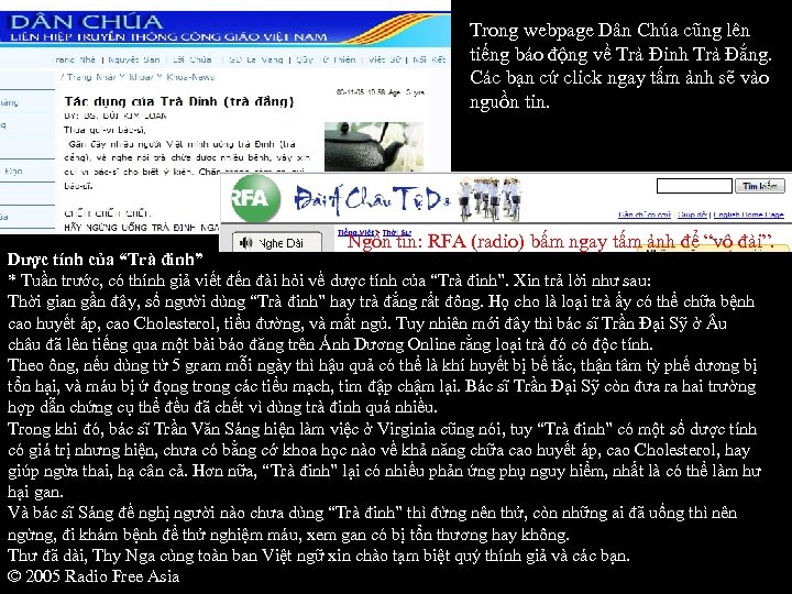 Trong webpage Dân Chúa cũng lên tiếng báo động về Trà Đinh Trà Đắng.