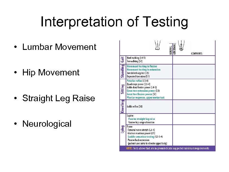 Interpretation of Testing • Lumbar Movement • Hip Movement • Straight Leg Raise •