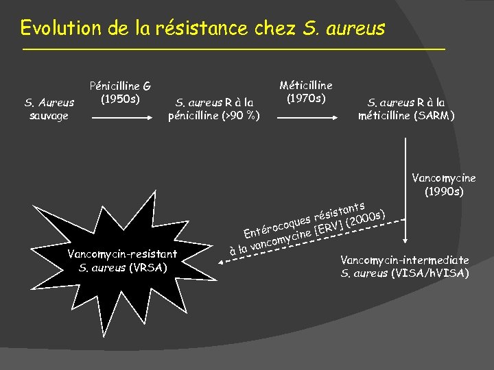 Evolution de la résistance chez S. aureus S. Aureus sauvage Pénicilline G (1950 s)