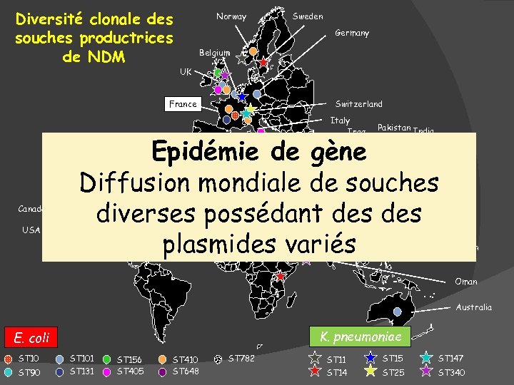 Diversité clonale des souches productrices de NDM Norway Sweden Germany Belgium UK Switzerland France