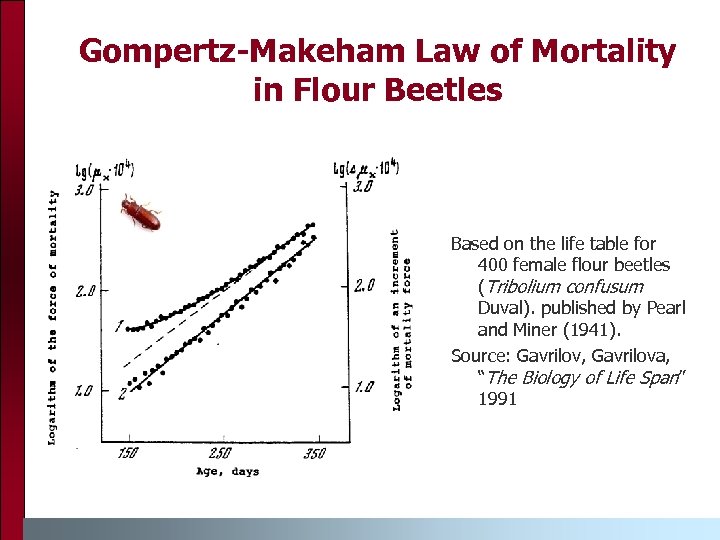 Gompertz-Makeham Law of Mortality in Flour Beetles Based on the life table for 400