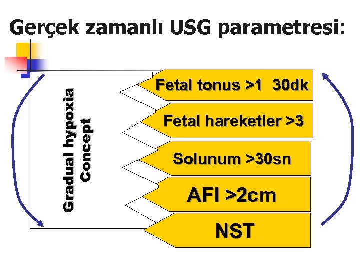 Gr a d u a l h y p o x ia Concept Gerçek