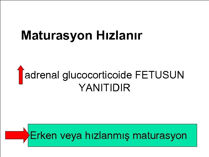 Maturasyon Hızlanır adrenal glucocorticoide FETUSUN YANITIDIR Erken veya hızlanmış maturasyon 