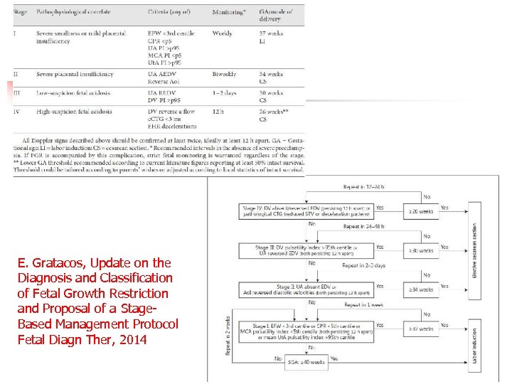 E. Gratacos, Update on the Diagnosis and Classification of Fetal Growth Restriction and Proposal
