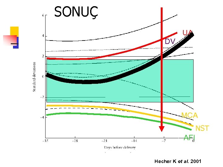 SONUÇ UA DV DV UA MCA NST AFI Hecher K et al. 2001 