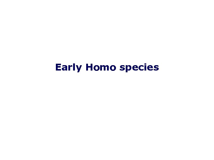 Early Homo species 