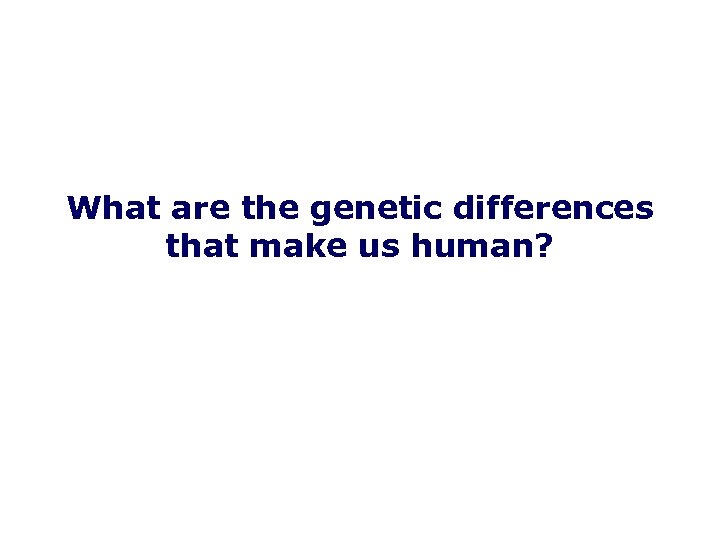 What are the genetic differences that make us human? 