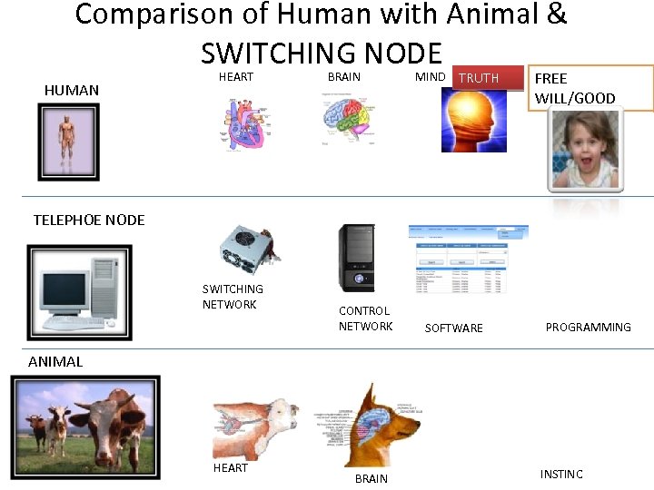 Comparison of Human with Animal & SWITCHING NODE HUMAN HEART BRAIN MIND TRUTH FREE