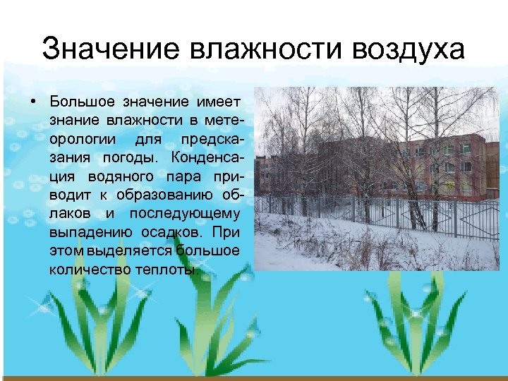 Значение влажности воздуха • Большое значение имеет знание влажности в метеорологии для предсказания погоды.