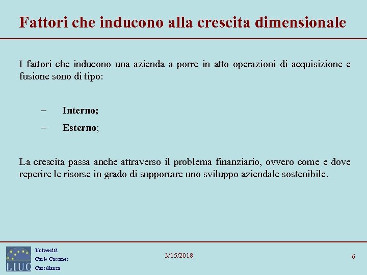 Fattori che inducono alla crescita dimensionale I fattori che inducono una azienda a porre