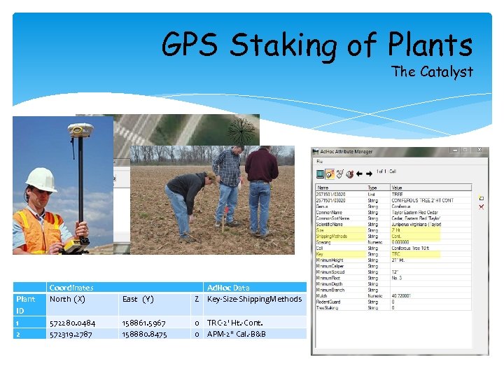 GPS Staking of Plants The Catalyst Plant ID 1 2 Coordinates North (X) East