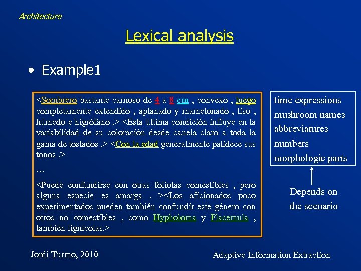 Architecture Lexical analysis • Example 1 <Sombrero bastante carnoso de 4 a 8 cm