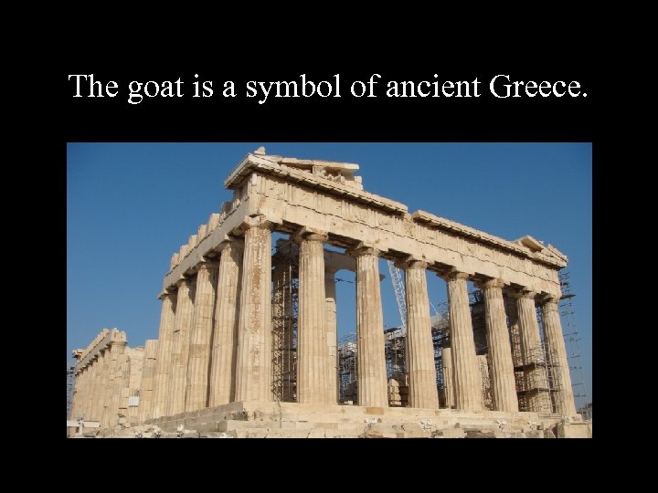 The goat is a symbol of ancient Greece. 