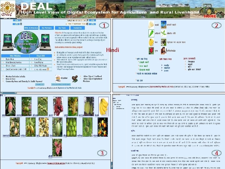 helping to build a world without hunger Food and Agriculture Organization of the UN