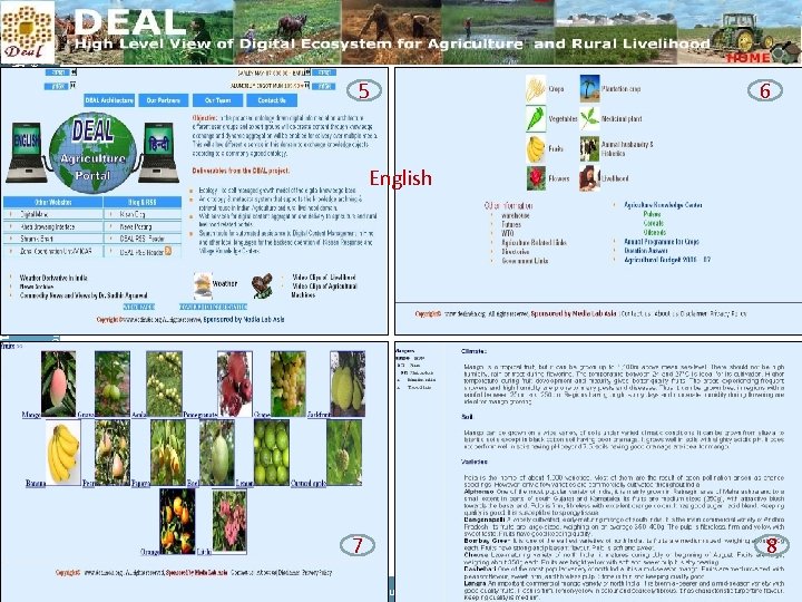 helping to build a world without hunger Food and Agriculture Organization of the UN