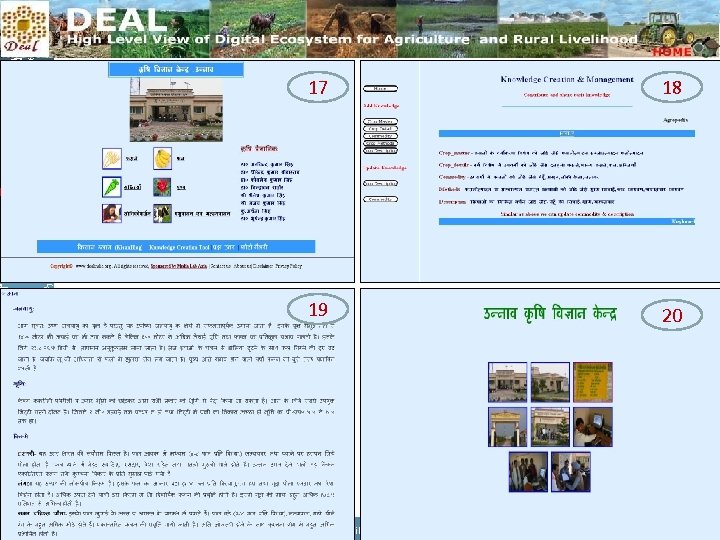 helping to build a world without hunger Food and Agriculture Organization of the UN