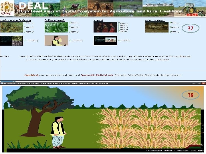 helping to build a world without hunger Food and Agriculture Organization of the UN