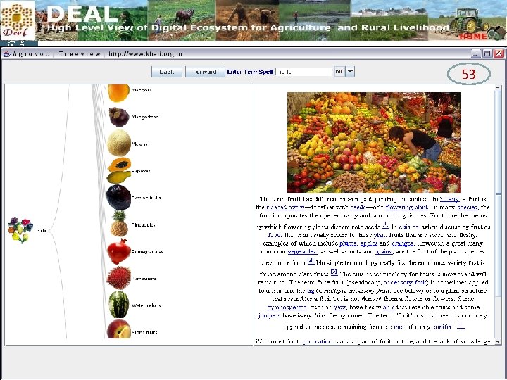 helping to build a world without hunger Food and Agriculture Organization of the UN