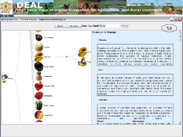 helping to build a world without hunger Food and Agriculture Organization of the UN