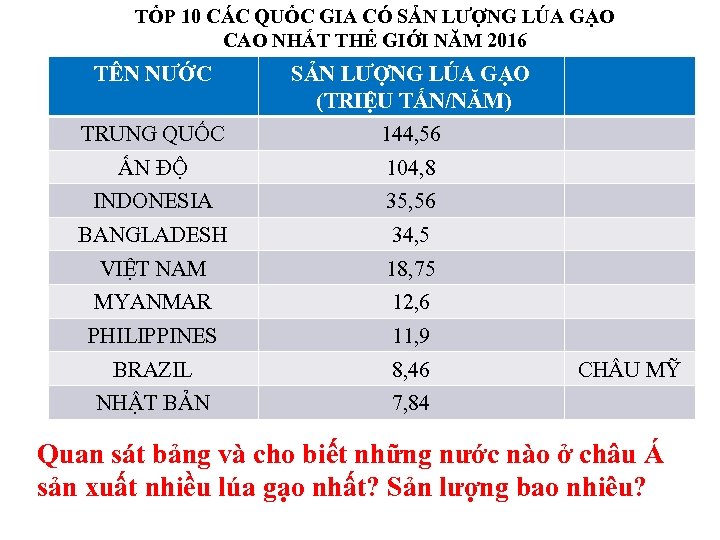 TỐP 10 CÁC QUỐC GIA CÓ SẢN LƯỢNG LÚA GẠO CAO NHẤT THẾ GIỚI