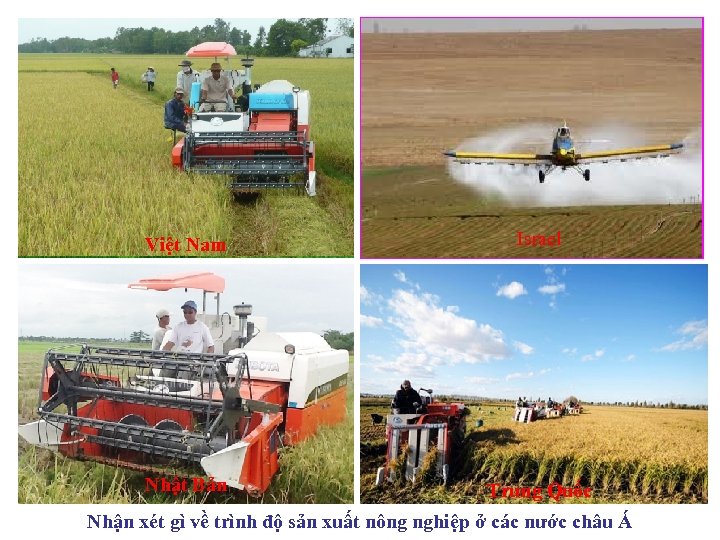 Cấy Việt Nam lúa ở philippin Israel Cấy lúa ở Lào Nhật Bản Cày