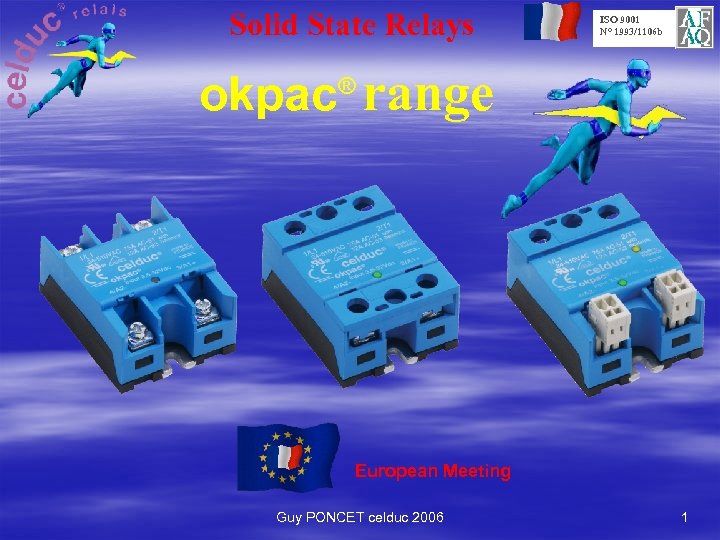 Solid State Relays ISO 9001 N° 1993/1106 b okpac range ® European Meeting Guy