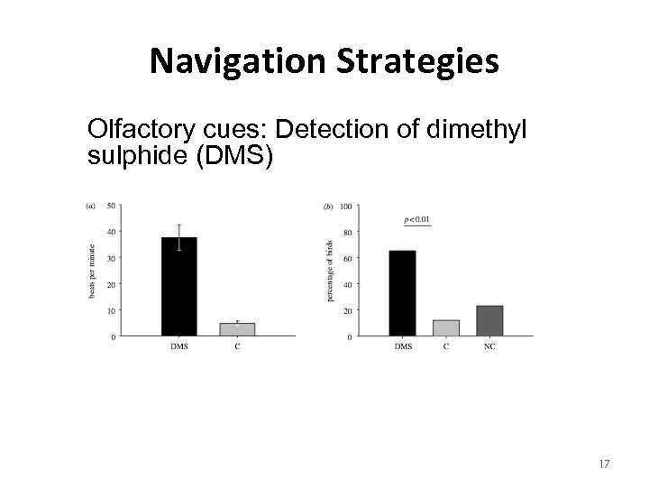 Navigation Strategies Olfactory cues: Detection of dimethyl sulphide (DMS) 17 