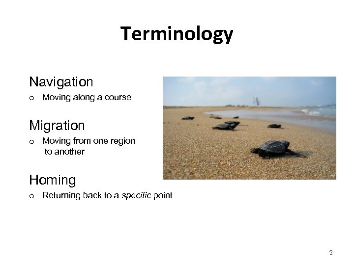 Terminology Navigation o Moving along a course Migration o Moving from one region to