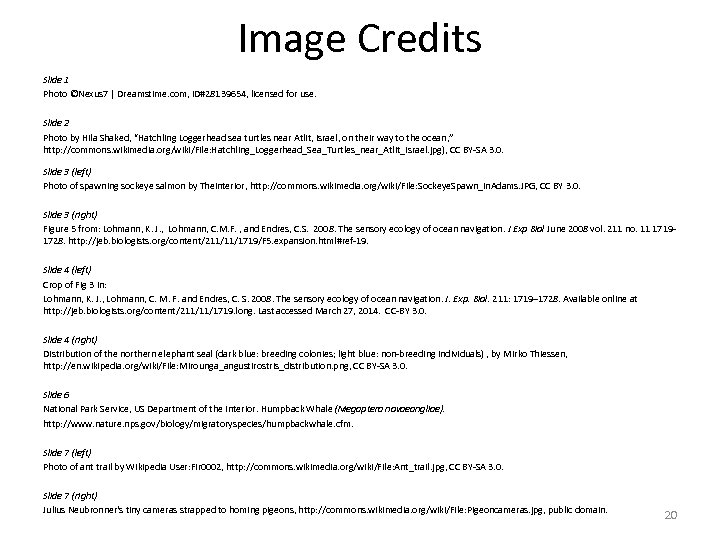Image Credits Slide 1 Photo ©Nexus 7 | Dreamstime. com, ID#28139654, licensed for use.