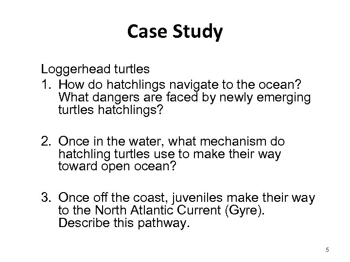 Case Study Loggerhead turtles 1. How do hatchlings navigate to the ocean? What dangers