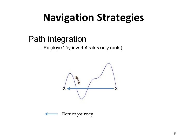 Navigation Strategies Path integration – Employed by invertebrates only (ants) Return journey 8 