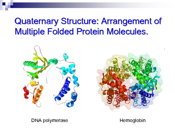 Quaternary Structure: Arrangement of Multiple Folded Protein Molecules. DNA polymerase Hemoglobin 