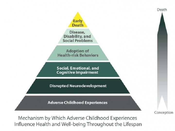 The ACE Pyramid represents the conceptual framework for the ACE Study. The ACE Study