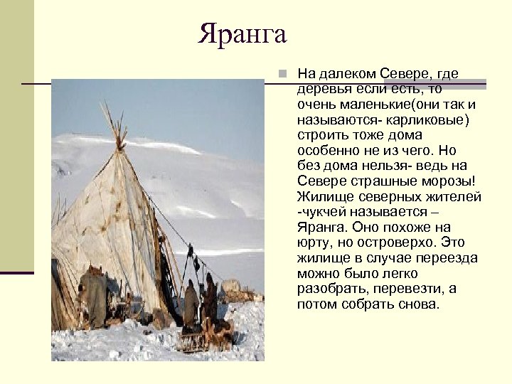 Яранга n На далеком Севере, где деревья если есть, то очень маленькие(они так и