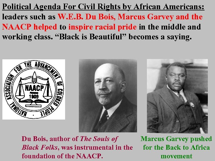 Political Agenda For Civil Rights by African Americans: leaders such as W. E. B.