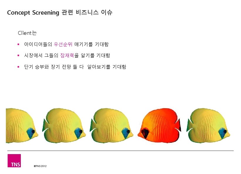 Concept Screening 관련 비즈니스 이슈 Client는 § 아이디어들의 우선순위 매기기를 기대함 § 시장에서 그들의