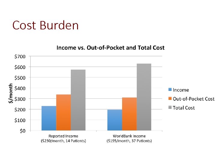Cost Burden 