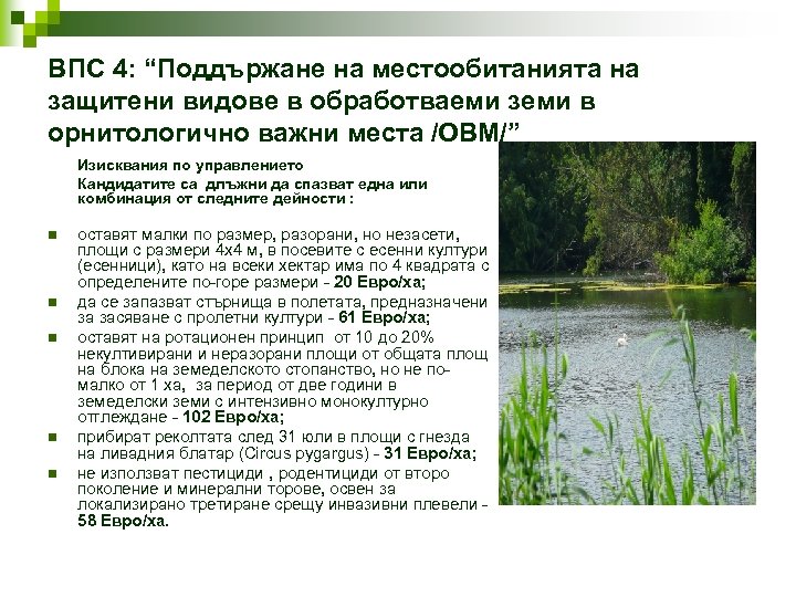 ВПС 4: “Поддържане на местообитанията на защитени видове в обработваеми земи в орнитологично важни