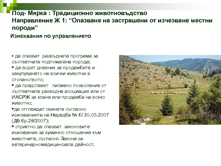 Под- Мярка : Традиционно животновъдство Направление Ж 1: “Опазване на застрашени от изчезване местни