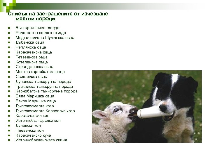  Списък на застрашените от изчезване местни породи n n n n n n