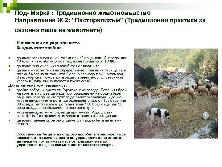 Под- Мярка : Традиционно животновъдство Направление Ж 2: “Пасторализъм” (Традиционни практики за сезонна паша