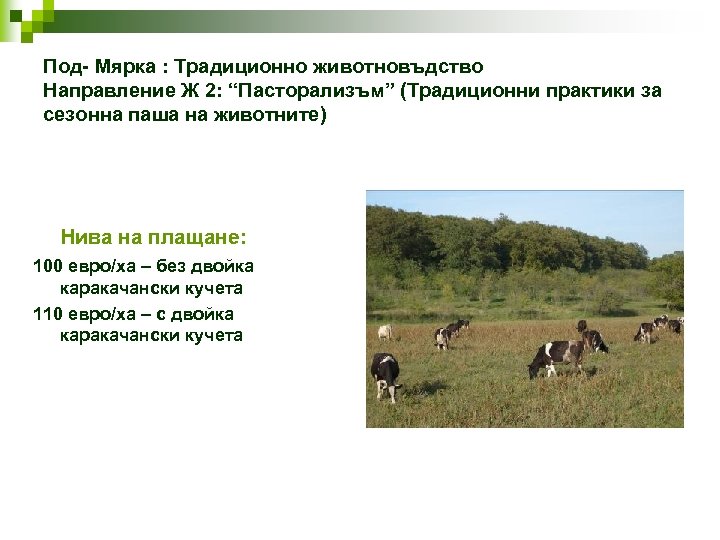 Под- Мярка : Традиционно животновъдство Направление Ж 2: “Пасторализъм” (Традиционни практики за сезонна паша