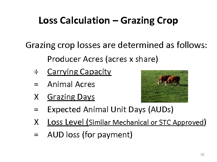 Loss Calculation – Grazing Crop Grazing crop losses are determined as follows: ÷ =