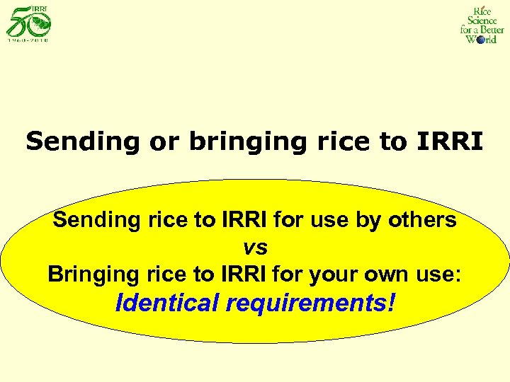 Sending or bringing rice to IRRI Sending rice to IRRI for use by others