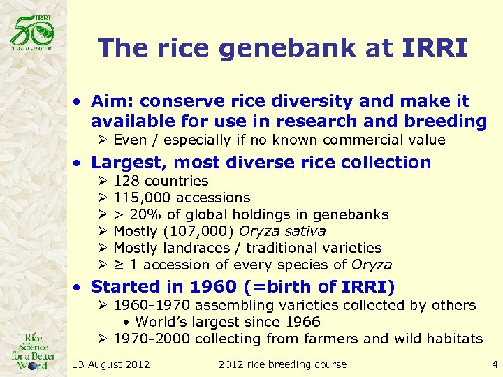 The rice genebank at IRRI • Aim: conserve rice diversity and make it available