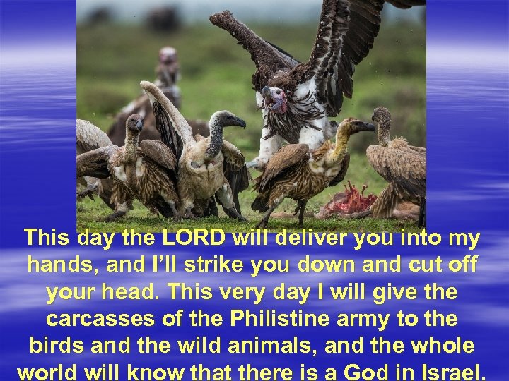 This day the LORD will deliver you into my hands, and I’ll strike you