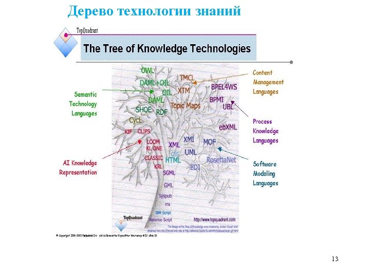  Дерево технологии знаний 13 