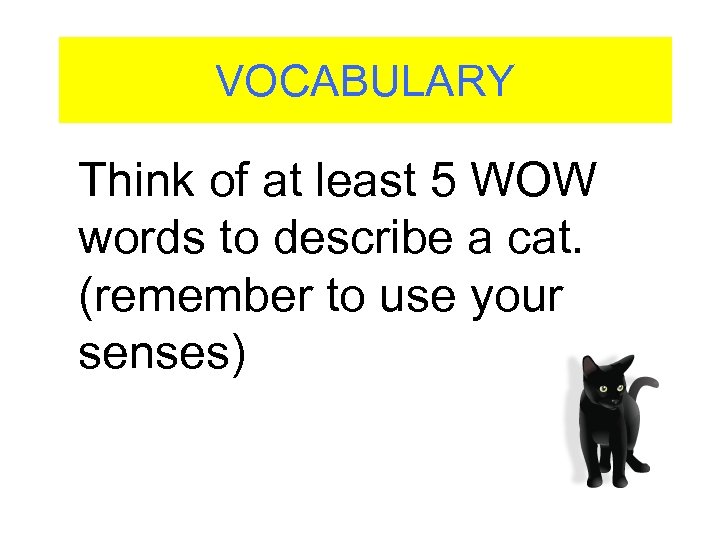 VOCABULARY Think of at least 5 WOW words to describe a cat. (remember to